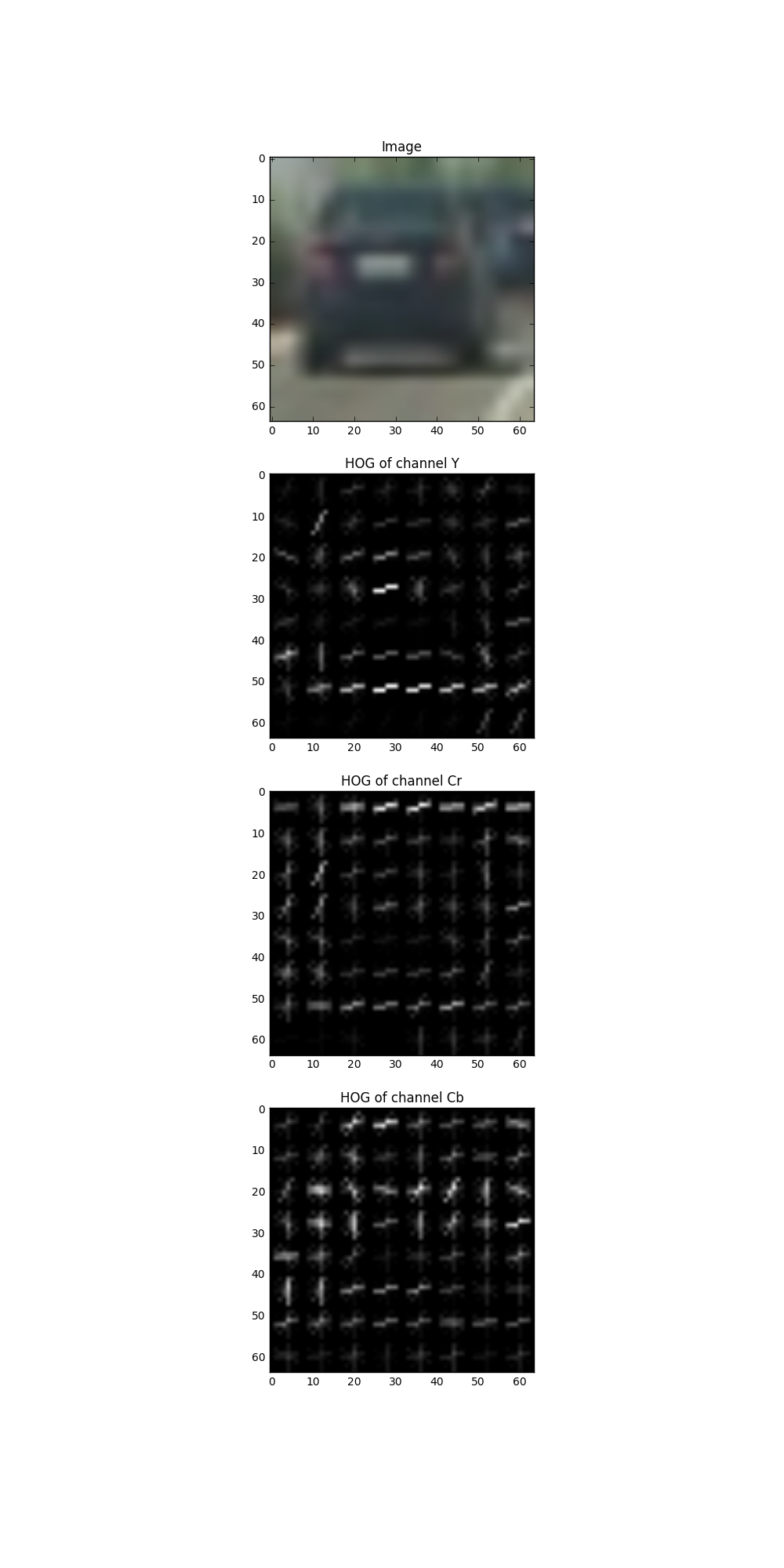Hog Features